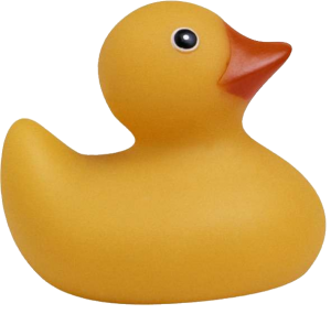 Rubber duck PNG-45704